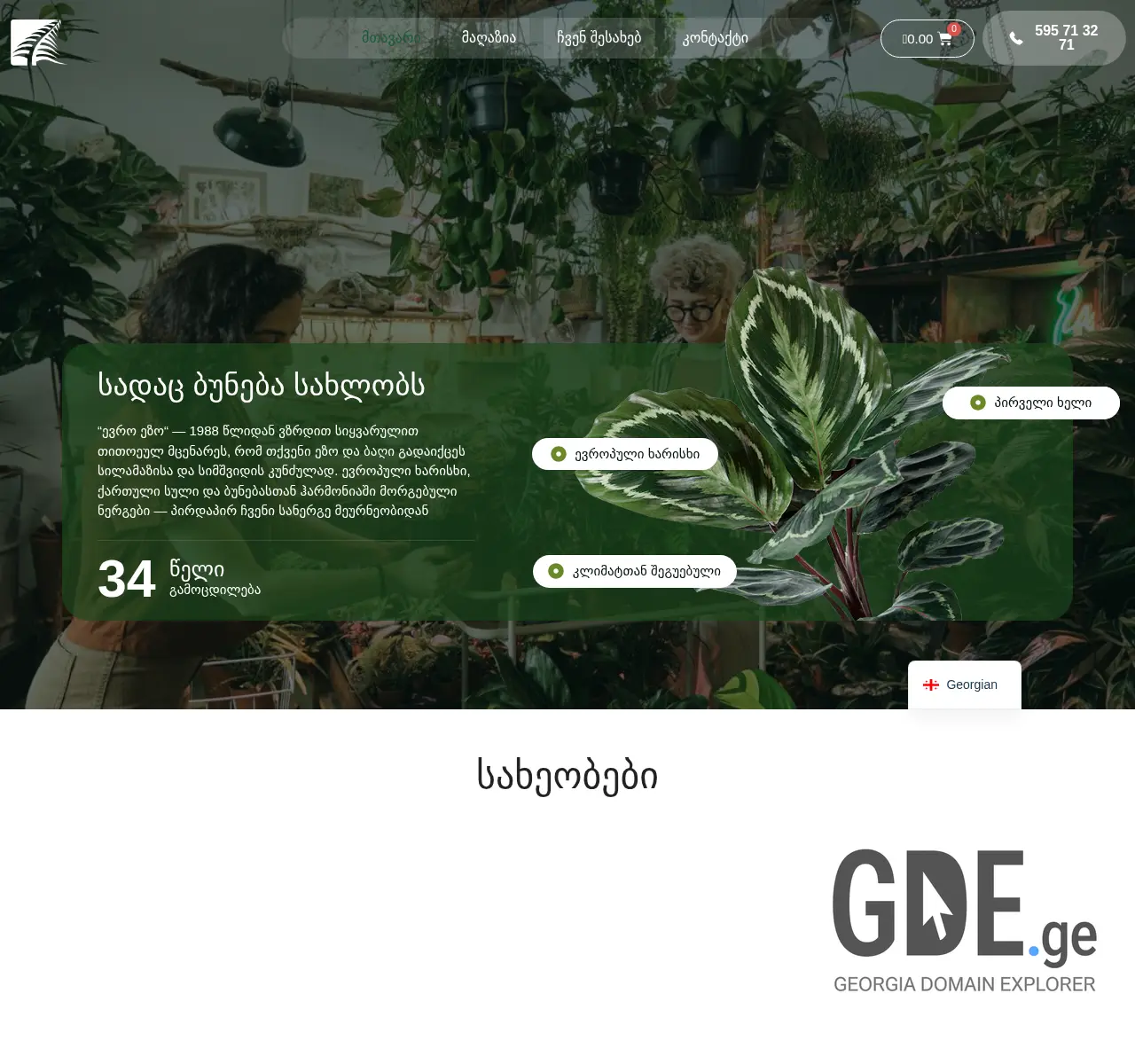 Screenshot of the site euroezo.ge at 2025-11-26