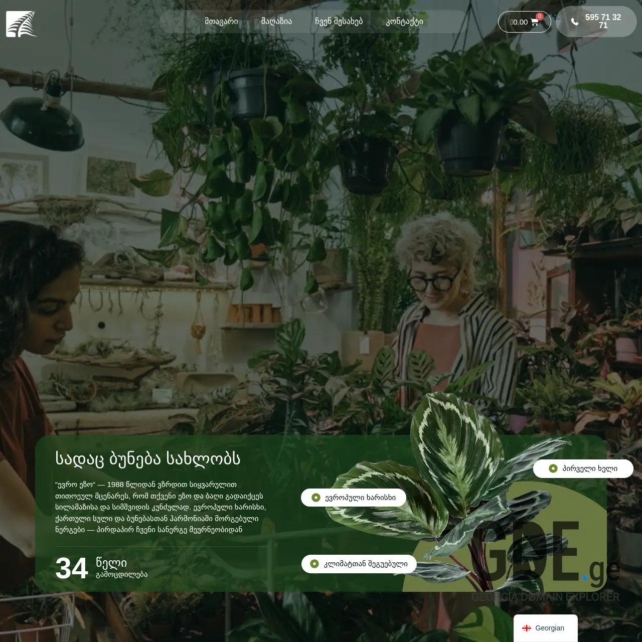 Screenshot of the site euroezo.ge at 2025-12-19