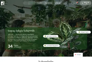 Скриншот euroezo.ge