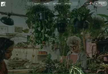 სურათი 19.12.2025-დან