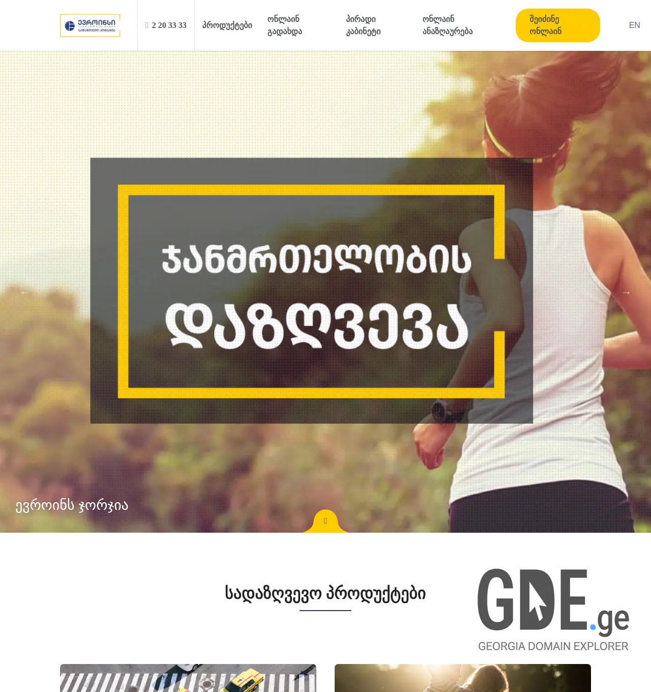 Screenshot of the site euroins.ge at 2025-11-29