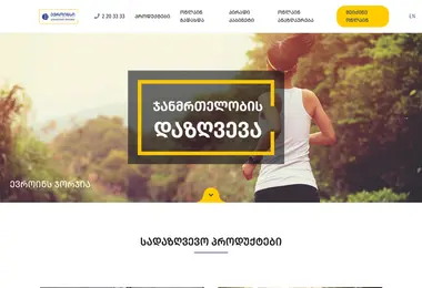 Screenshot of euroins.ge