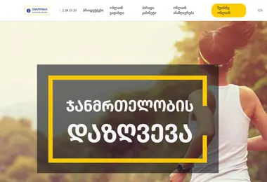 euroins.ge-ის ეკრანის სურათი