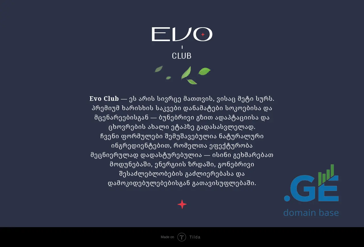 Screenshot of the site evoclub.ge