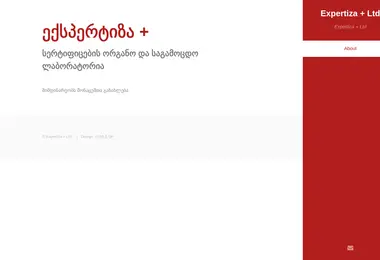 Screenshot of expertizaplus.ge