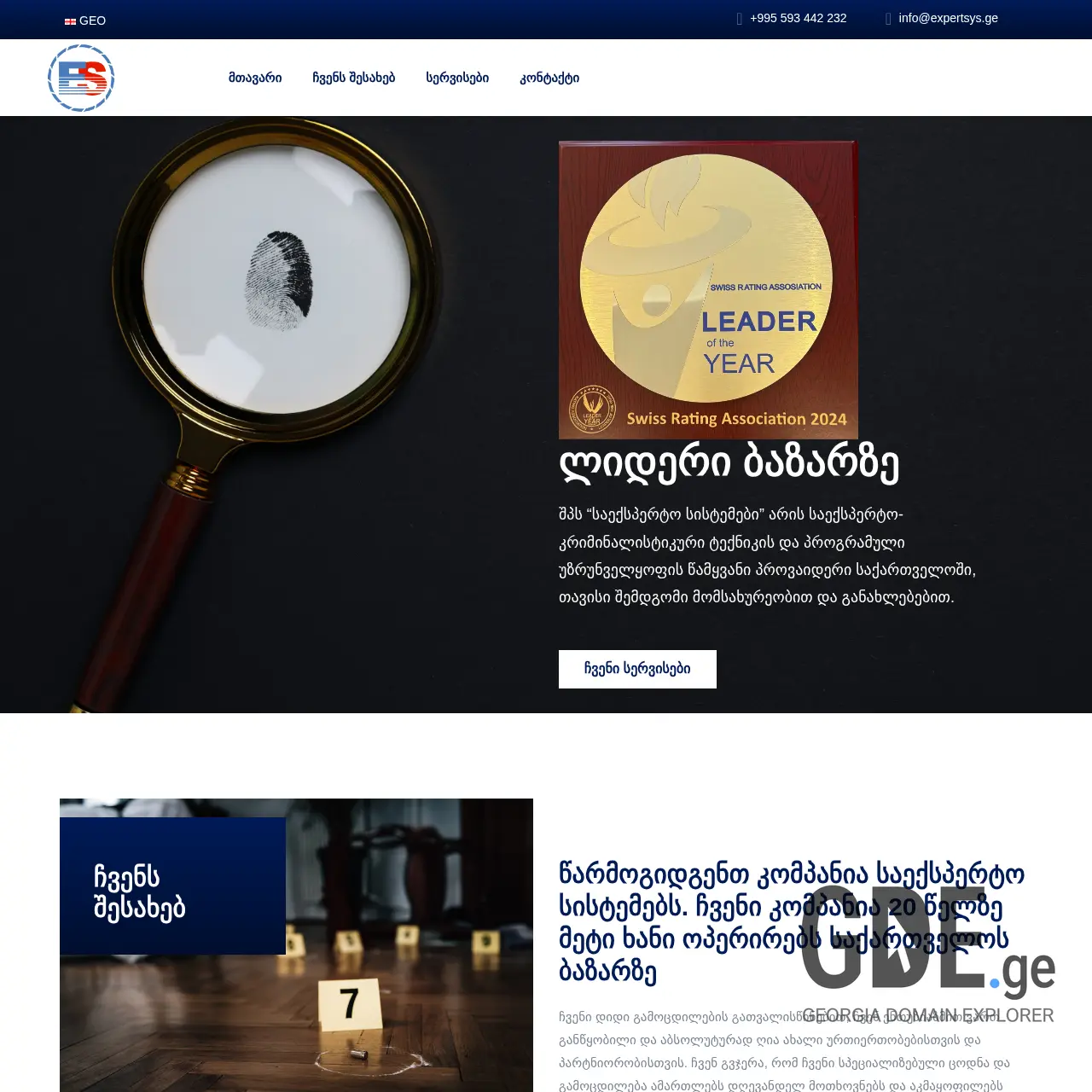 Screenshot of the site expertsys.ge at 2025-12-10