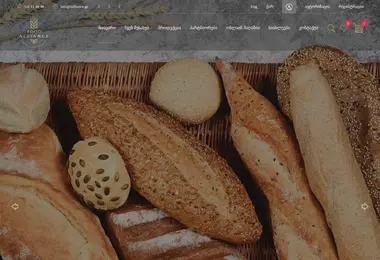 Скриншот falliance.ge