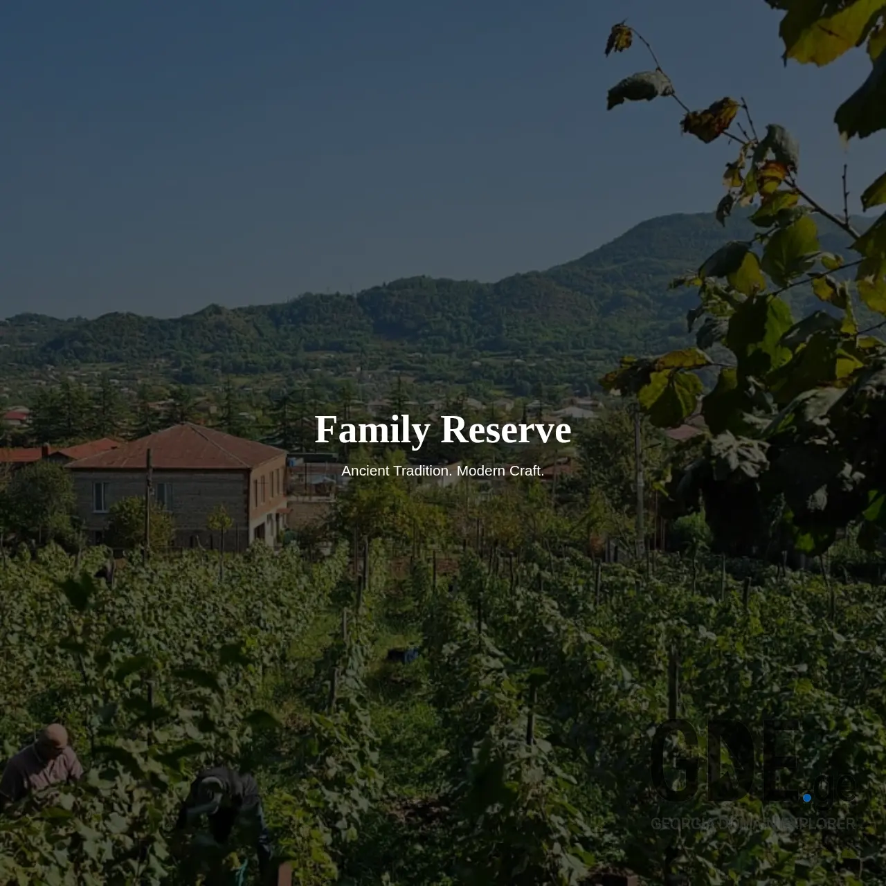 Screenshot of the site familyreserve.ge at 2025-12-09