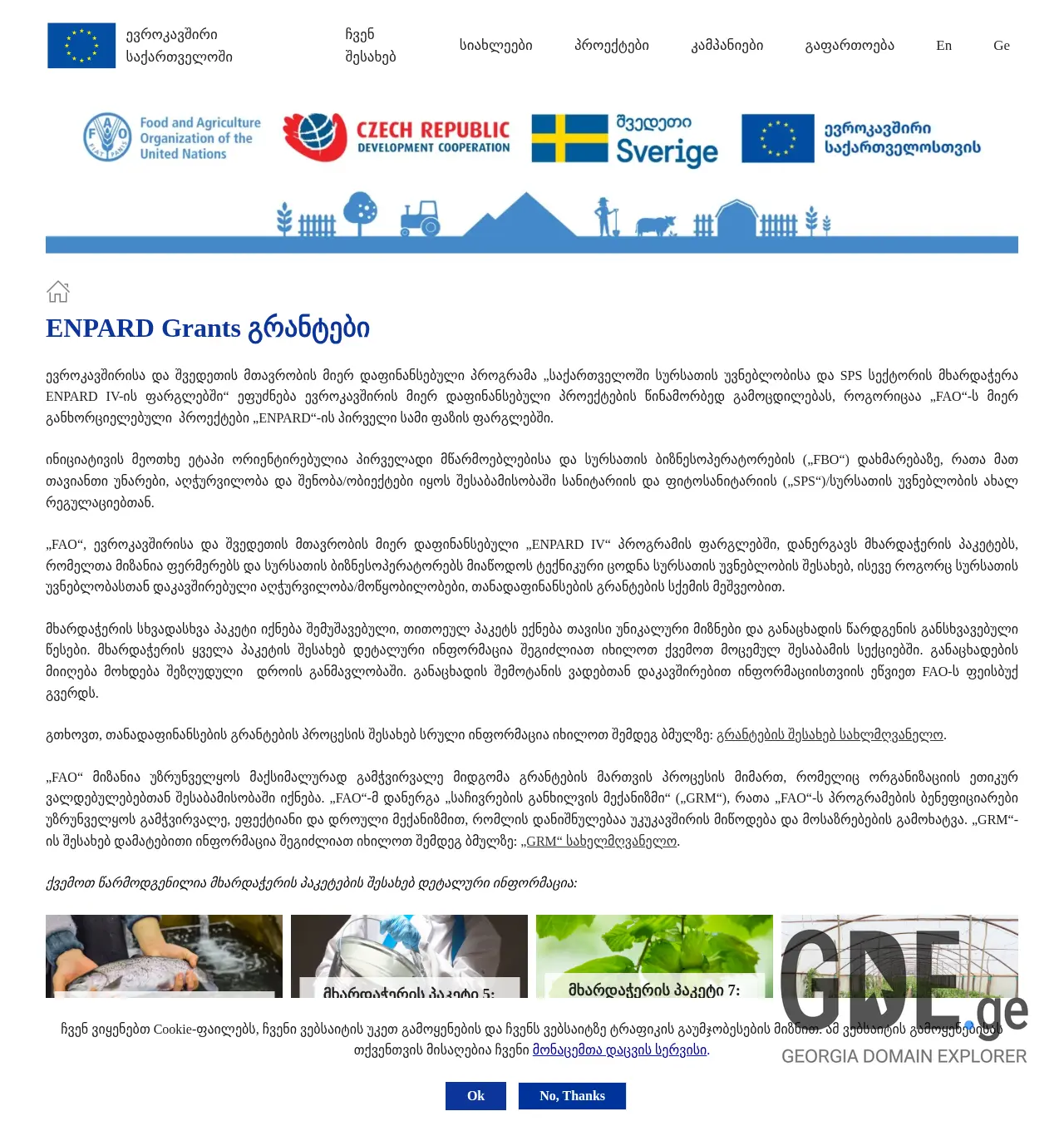 Screenshot of the site faogrants.ge at 2025-11-29
