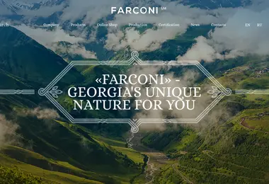 Скриншот farconi.com.ge