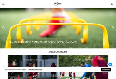 Screenshot of fccelero.ge