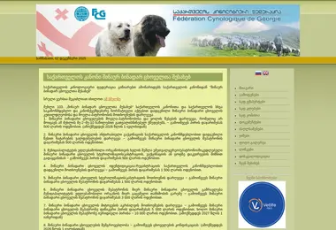 Screenshot of fcg.ge