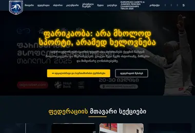 Screenshot of fencing.ge