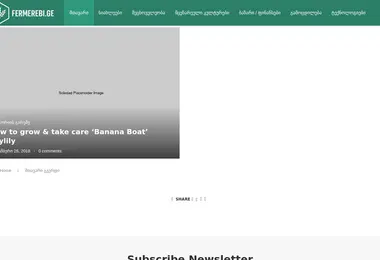 Скриншот fermerebi.ge