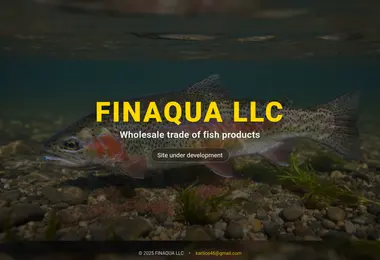 finaqua.ge-ის ეკრანის სურათი