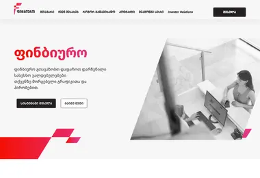 Скриншот finbureau.ge