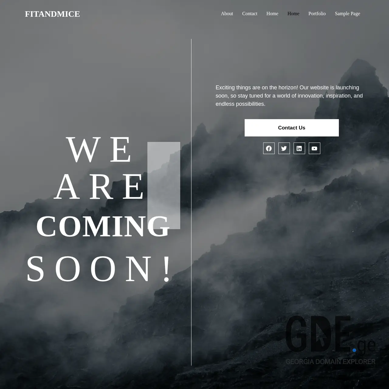 Screenshot of the site fitandmice.ge at 2025-12-18