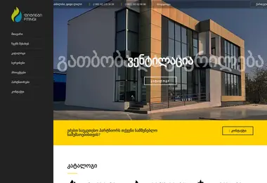 Screenshot of fitingi.ge