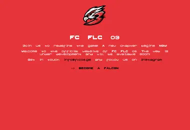 flc03.ge-ის ეკრანის სურათი