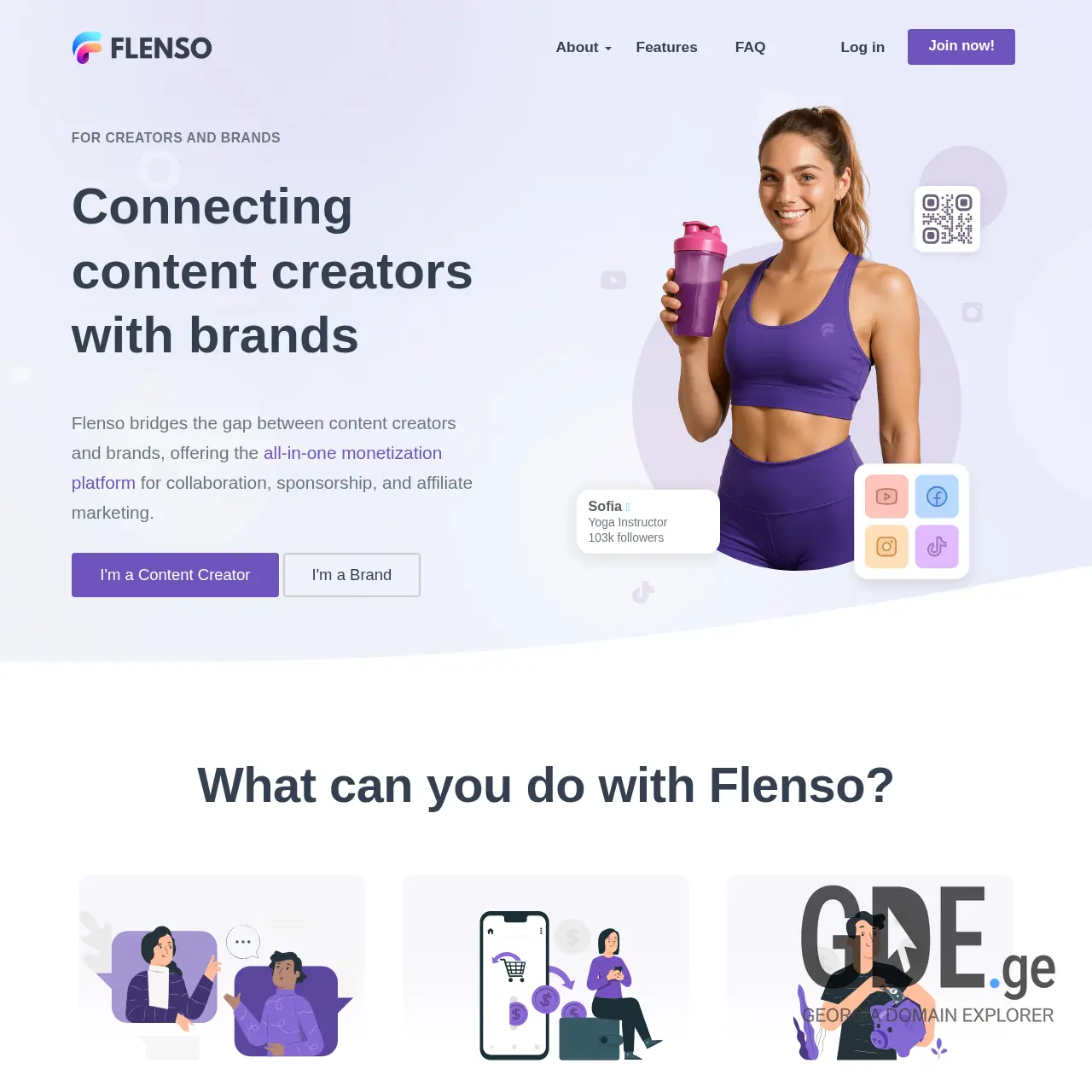 Screenshot of the site flenso.ge at 2025-12-09