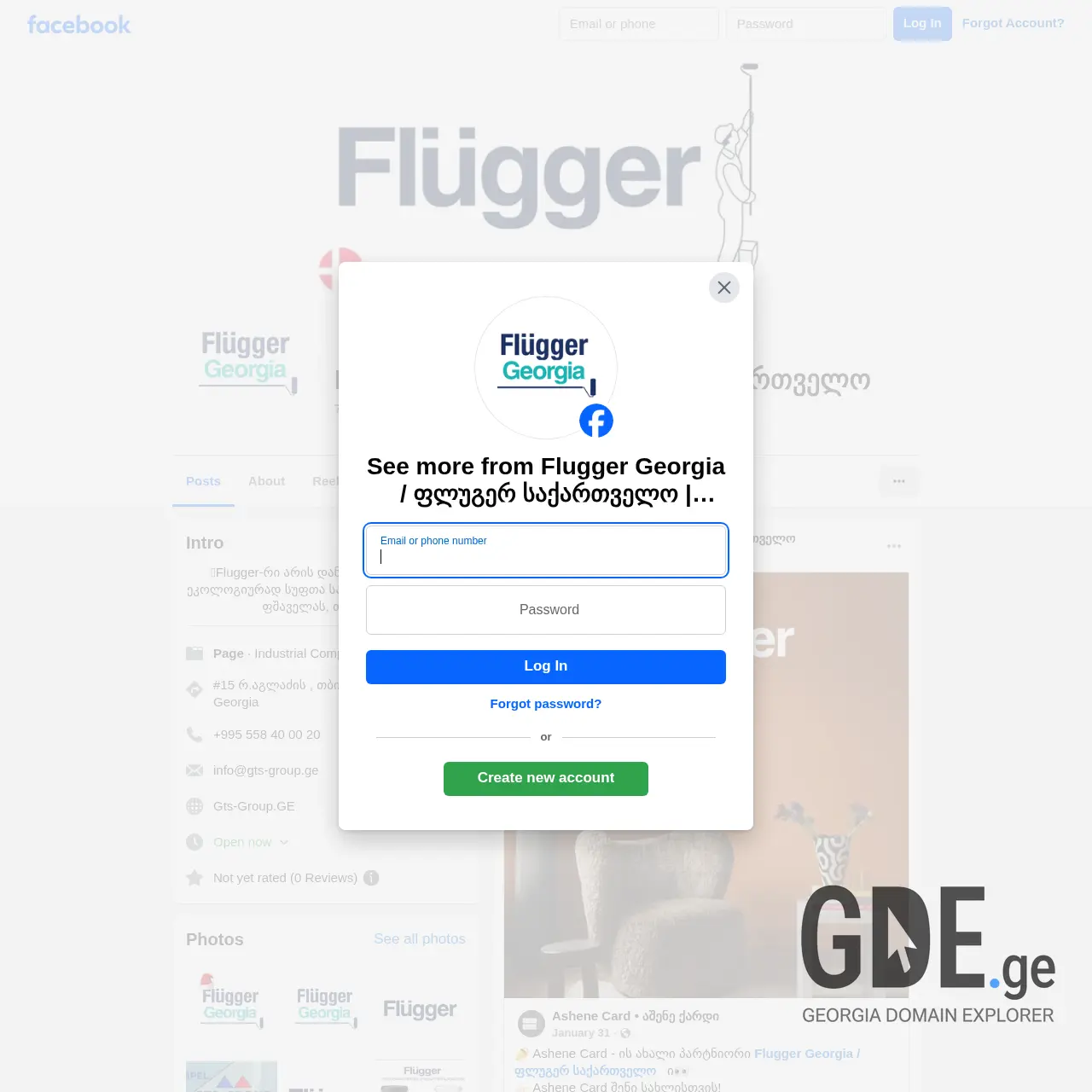 Screenshot of the site flugger.ge at 2025-12-10
