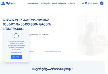 Screenshot of fly-help.ge