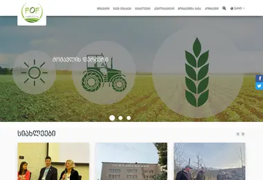 Screenshot of fof.ge