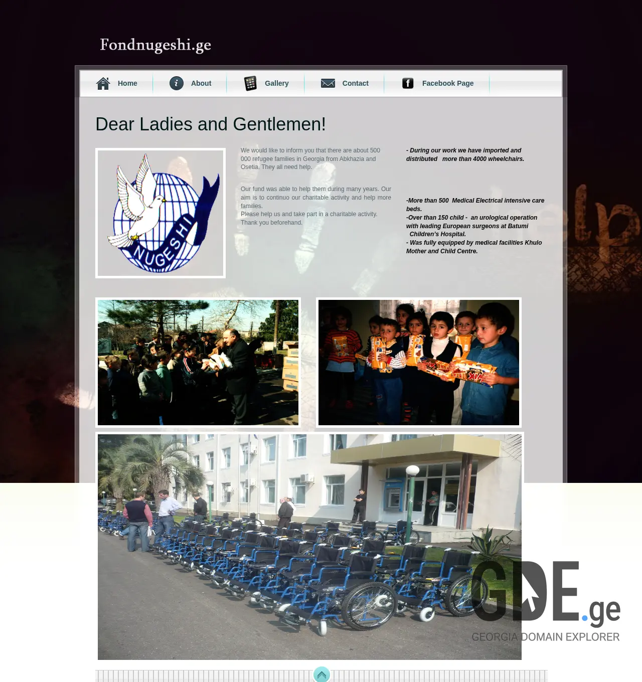 Screenshot of the site fondnugeshi.ge at 2025-11-29