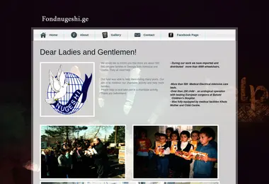 Screenshot of fondnugeshi.ge