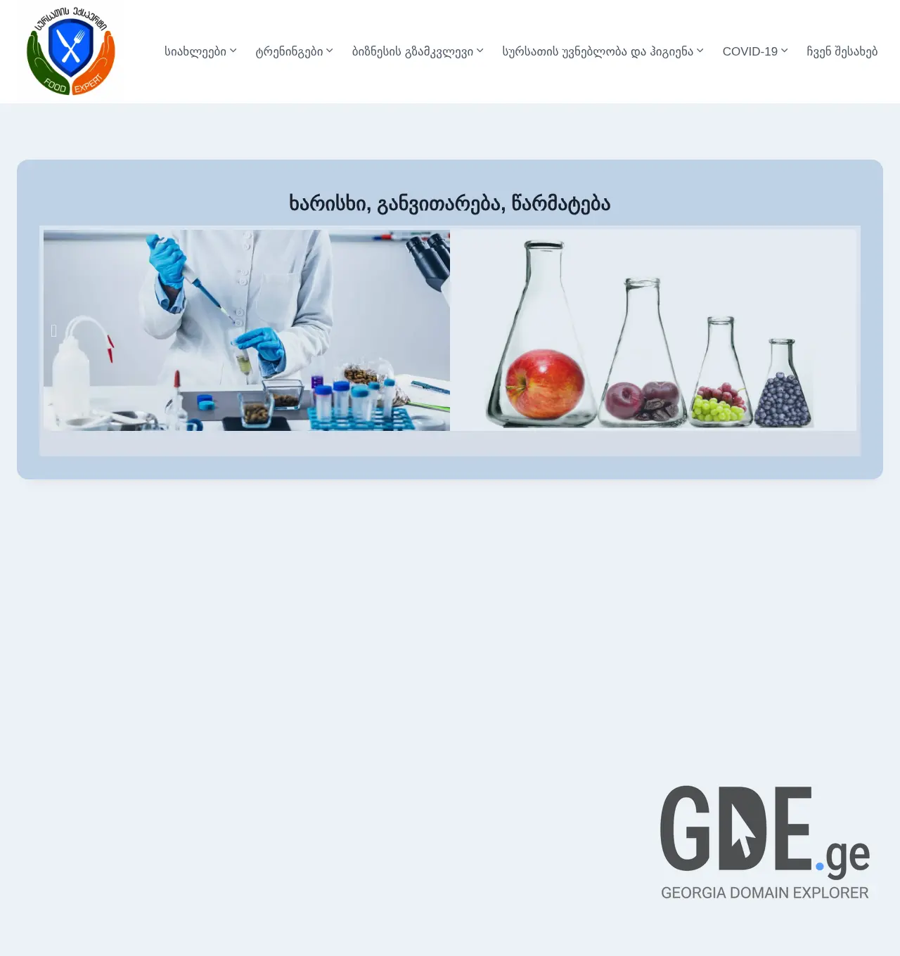 Screenshot of the site foodexpert.ge at 2025-11-30