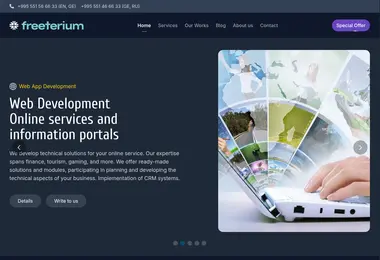 Screenshot of freeterium.ge