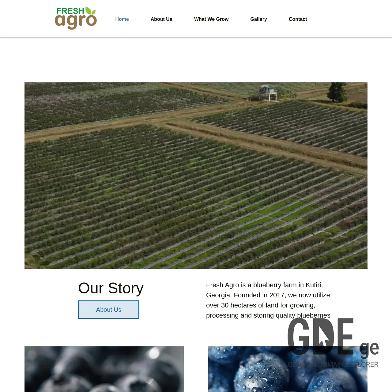 Screenshot of the site freshagro.ge at 2025-12-10