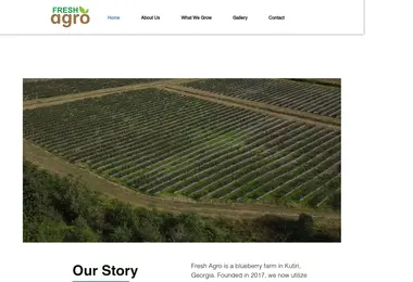 Screenshot of freshagro.ge