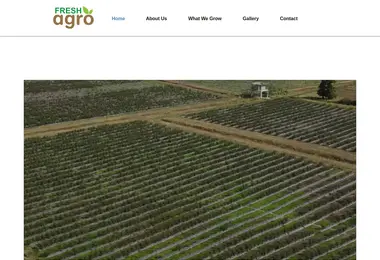 Preview from 10.12.2025