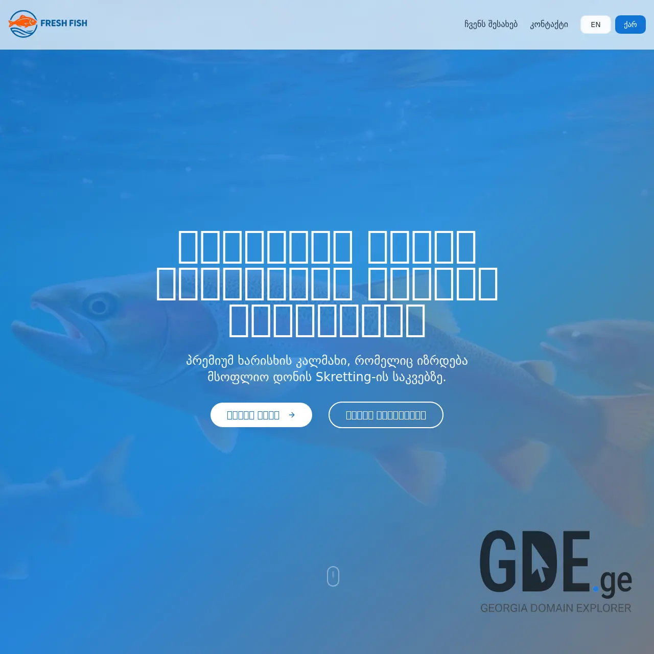 Screenshot of the site freshfish.ge at 2025-12-15
