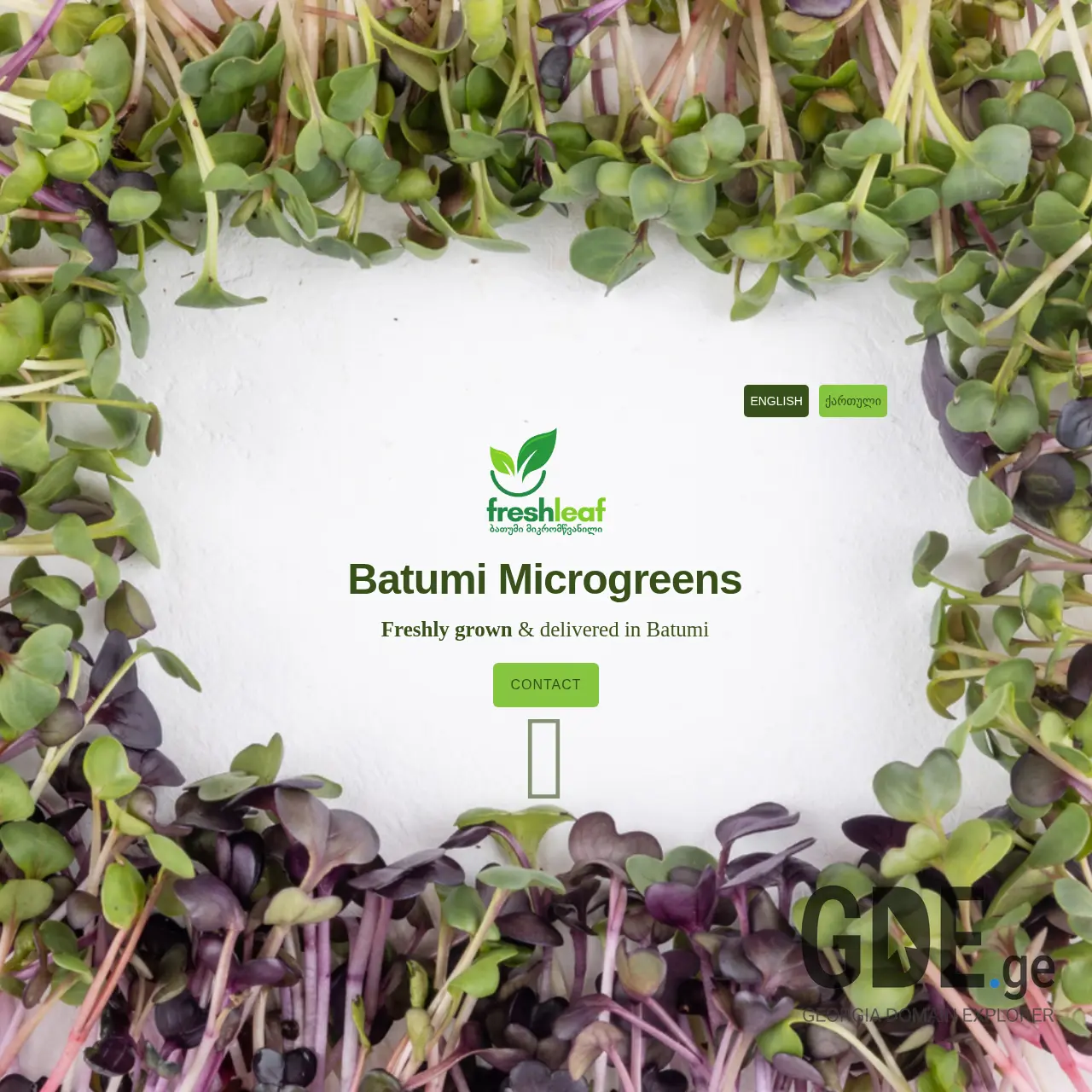 Screenshot of the site freshleaf.ge at 2025-12-10