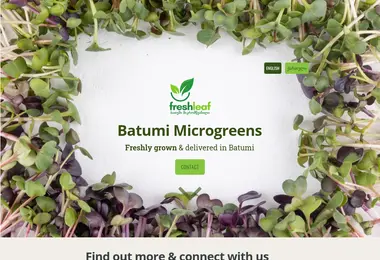 Screenshot of freshleaf.ge