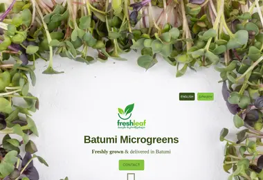 Preview from 10.12.2025