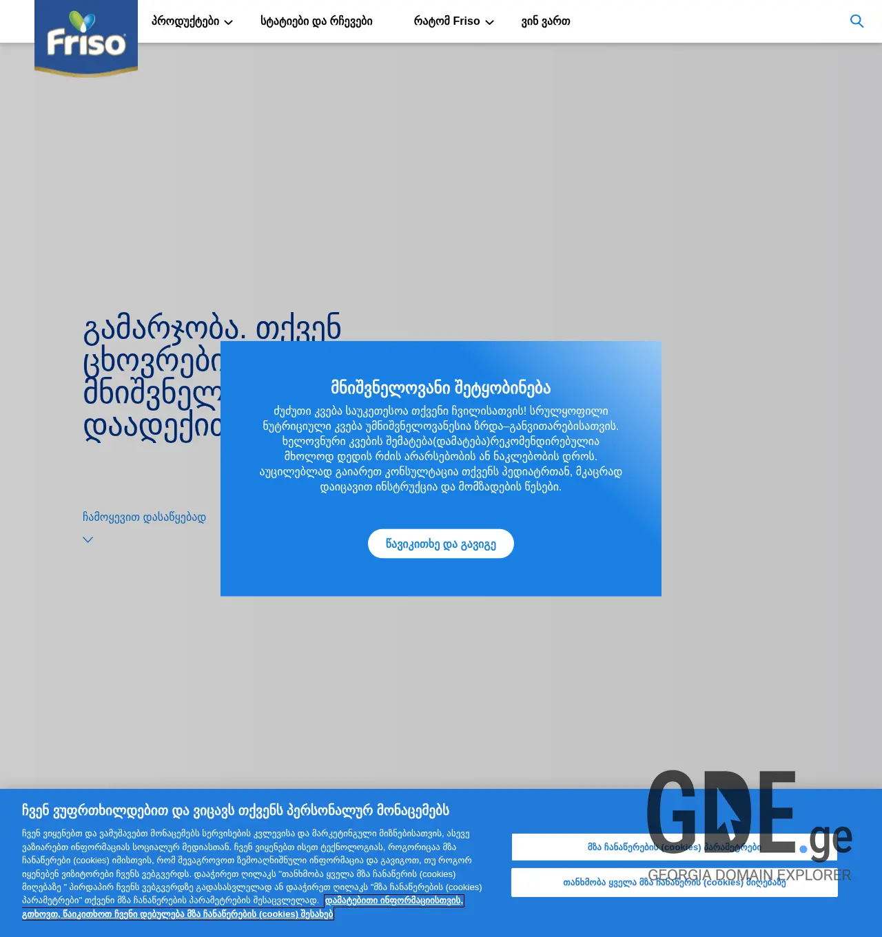 Screenshot of the site friso.ge at 2025-12-02