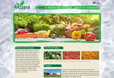 Скриншот frozera.ge