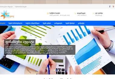 fsa.ge-ის ეკრანის სურათი