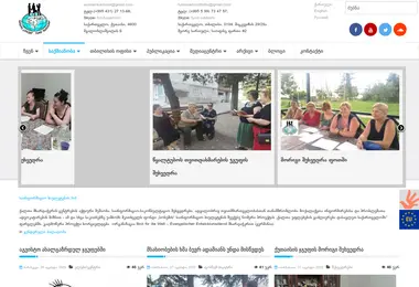 Screenshot of fsokhumi.ge