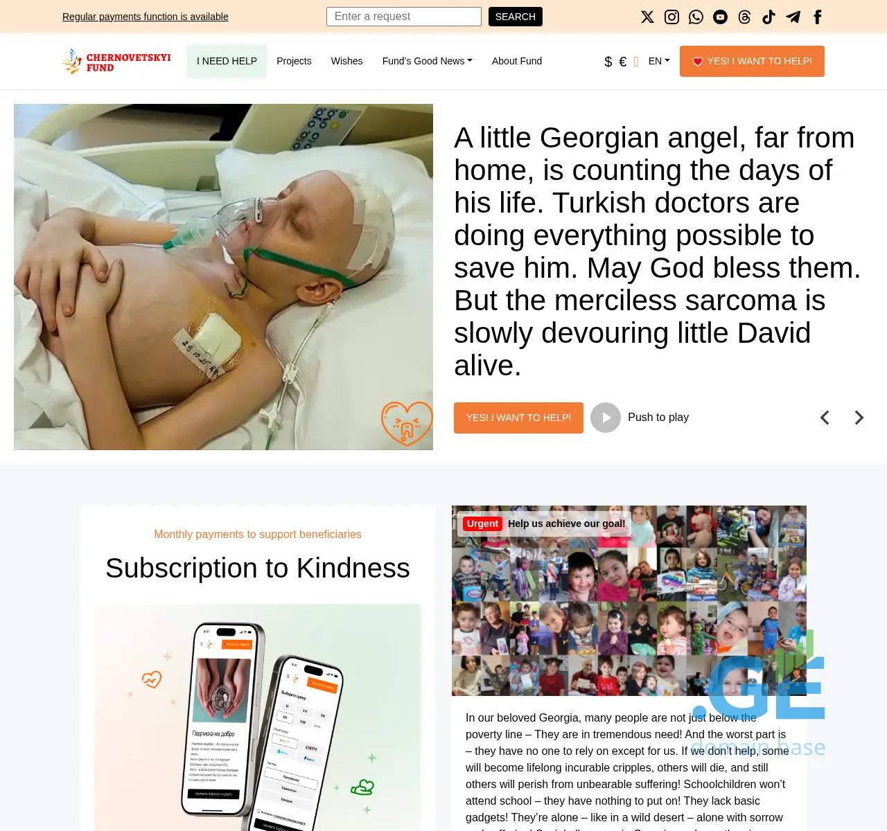 Screenshot of the site fsp.ge at 2025-11-24