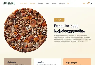 სურათი 09.12.2025-დან