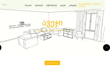Screenshot of futon.ge