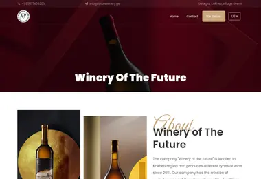 Screenshot of futurewinery.ge