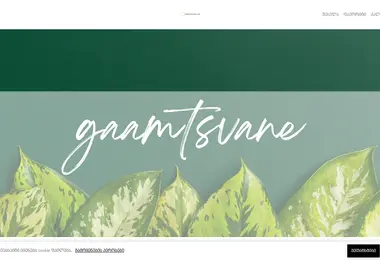 gaamtsvane.ge-ის ეკრანის სურათი