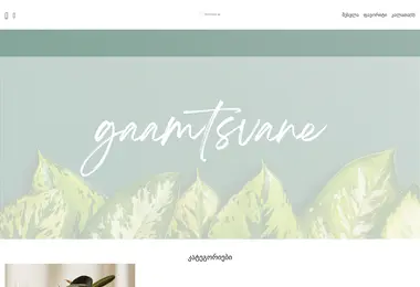 Screenshot of gaamtsvane.ge