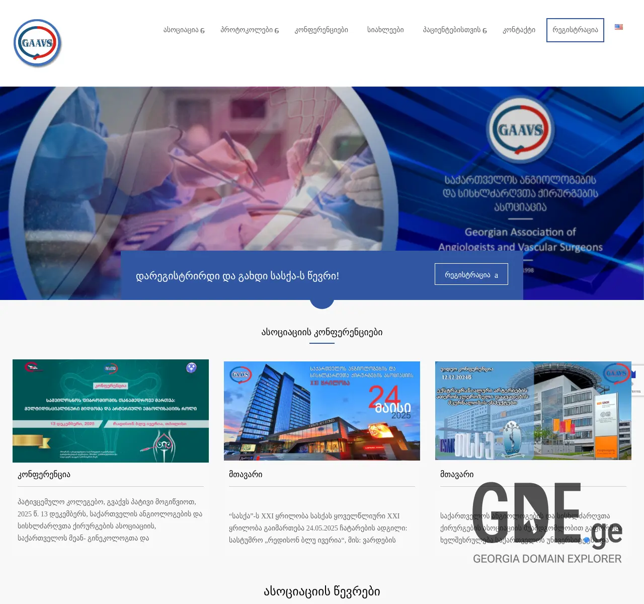 Screenshot of the site gaavs.org.ge at 2025-11-26