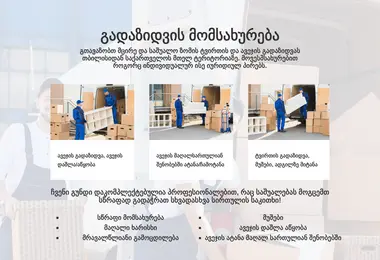 Screenshot of gadavzidot.ge